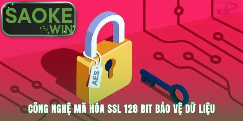 8Live vận hành mượt mà